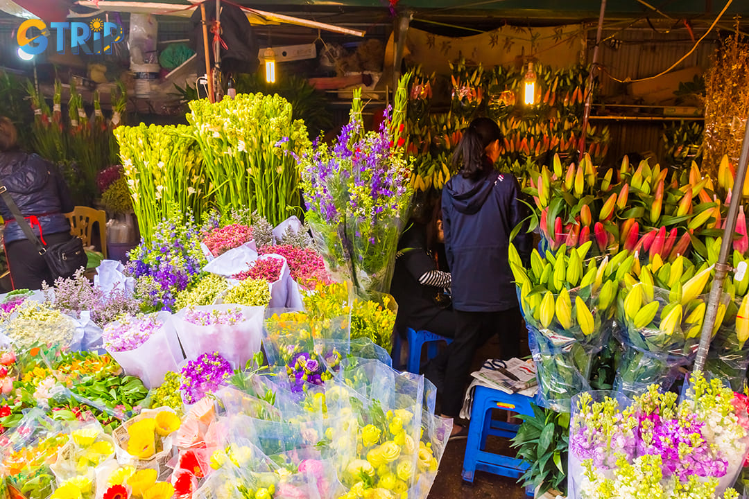 Quang Ba Flower Market showcases Vietnam's incredible floral diversity with a dazzling array of blooms that cater to every taste and occasion