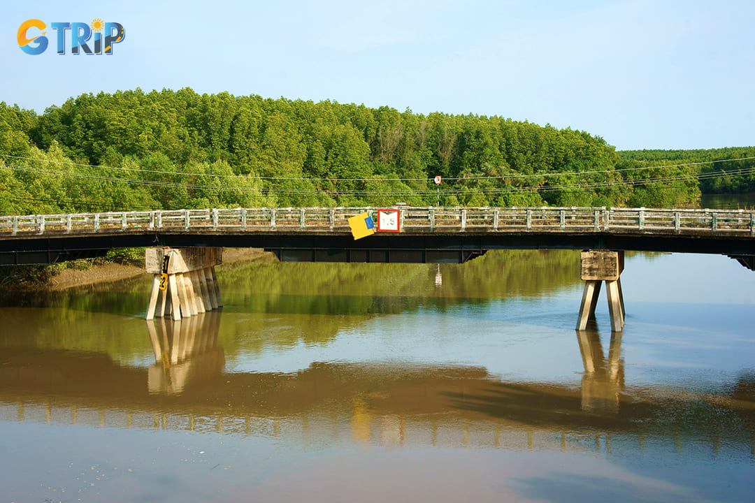 Reaching Can Gio Beach from Ho Chi Minh City is straightforward