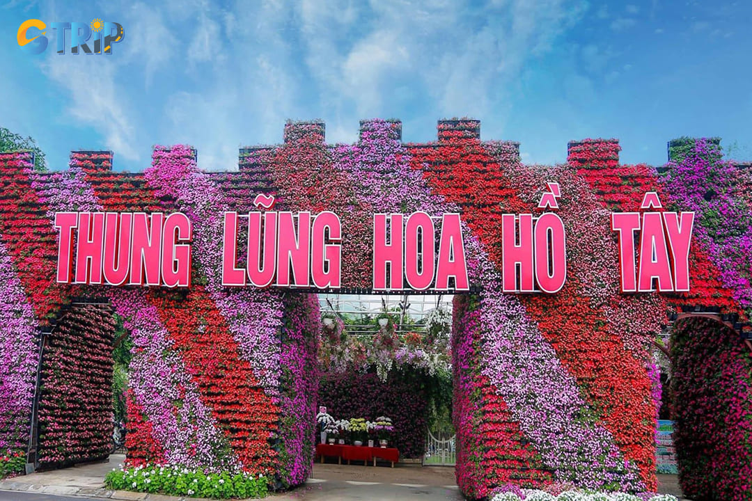 Reaching the tranquil oasis of Flower Valley at West Lake requires some navigation through Hanoi's bustling streets