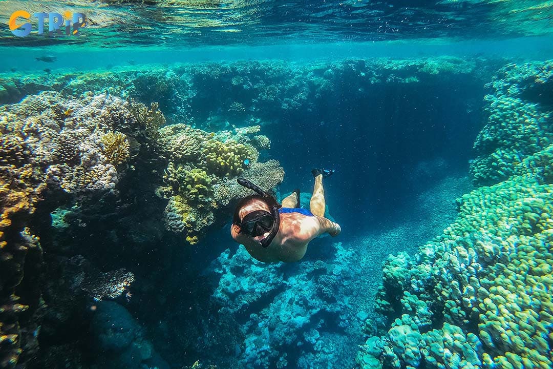 Remember practical tips to have a great experience snorkeling in Hoi An