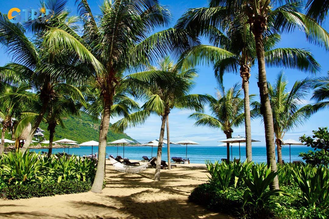 Remember the practical tips to have a wonderful trip to Bai Bac Beach in Da Nang