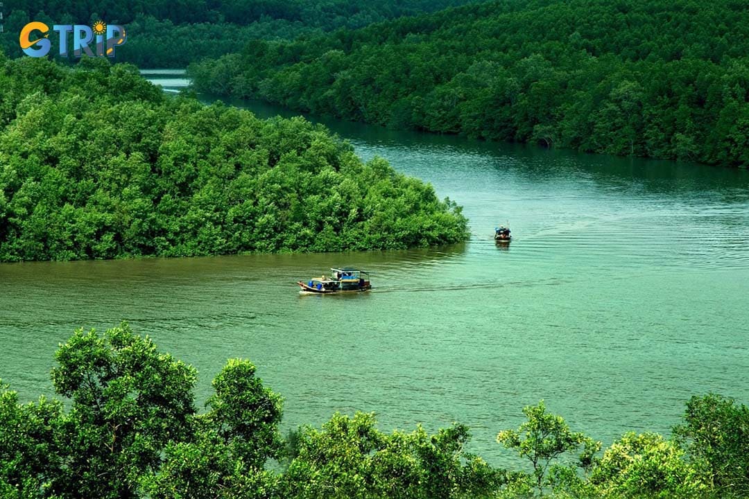 Remember the practical tips to have an enjoyable visit to the former Can Gio District