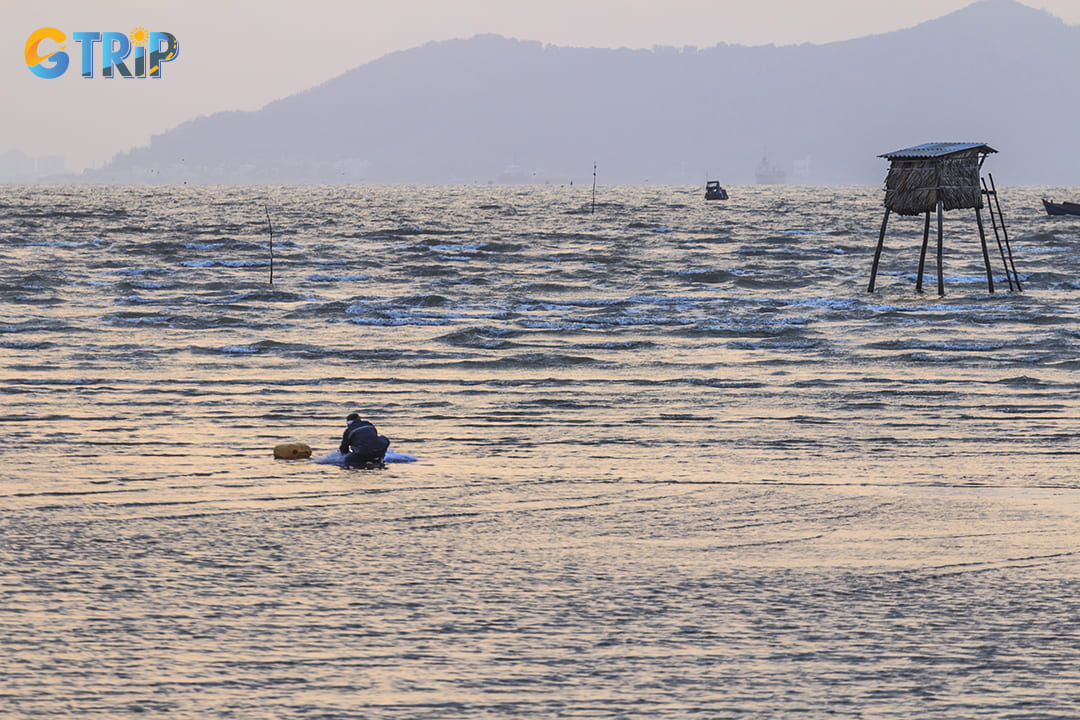 Remember the tips and useful information to have a nice trip to Can Gio Beach