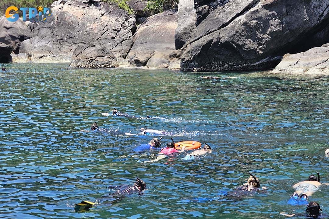 Remember tips to have a good time scuba diving in Da Nang