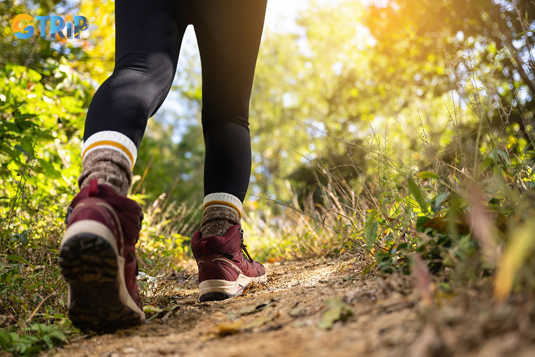 Remember to choose comfortable walking shoes for outdoor activities in Ninh Binh