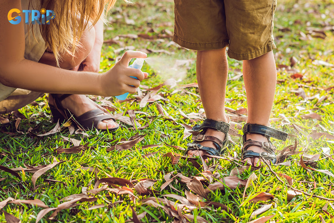 Remember to use insect repellent to avoid mosquito bites