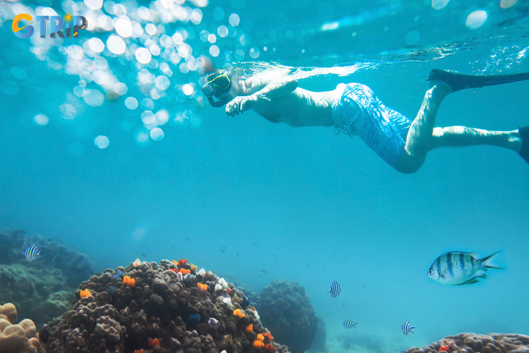 Responsible snorkeling involves respecting and protecting the marine environment