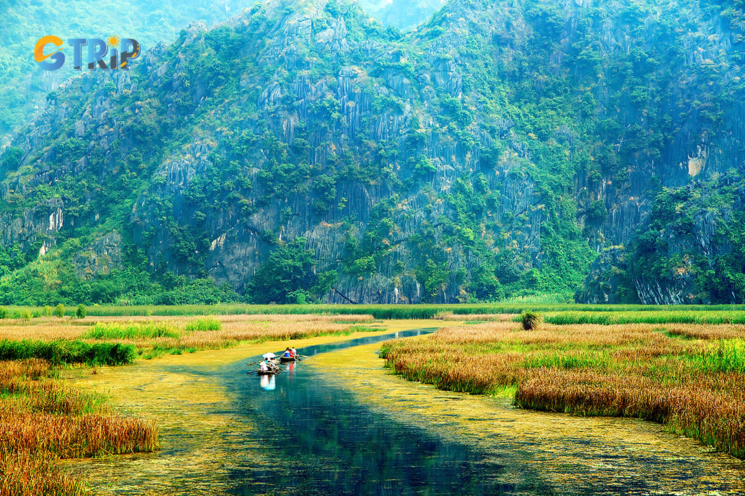 Rice paddies and rural landscape of Van Long