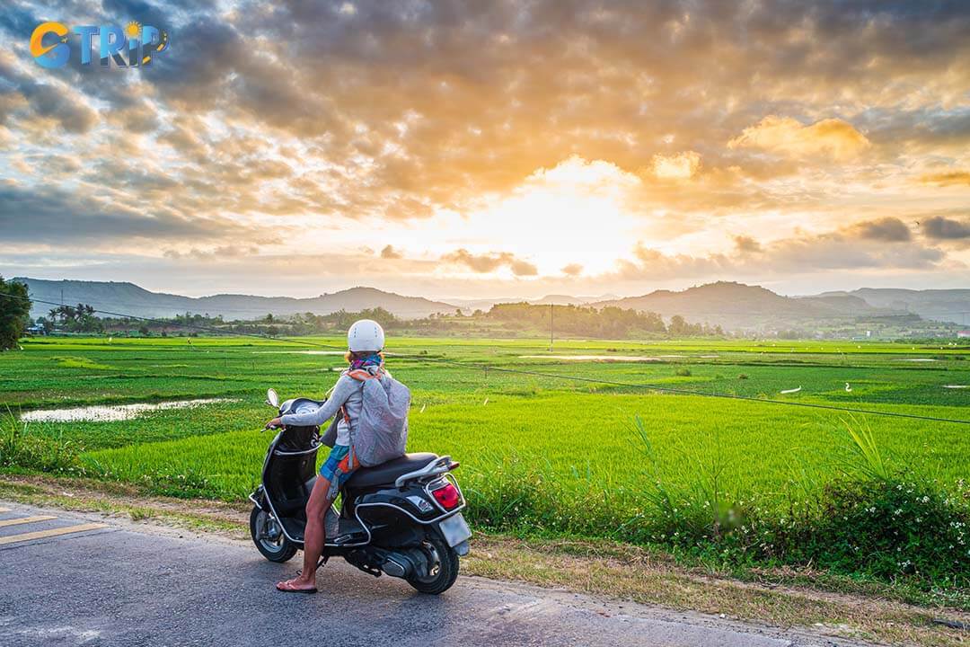 Riding a motorbike from Ninh Binh offers an exciting, scenic adventure but requires careful planning, safety gear, and preparation for long-distance travel