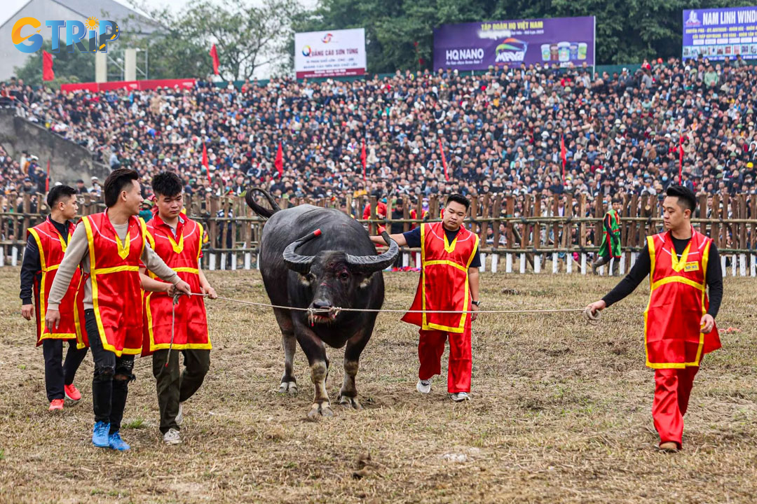 There are numerous rituals during the event, and visitors are welcome to take part
