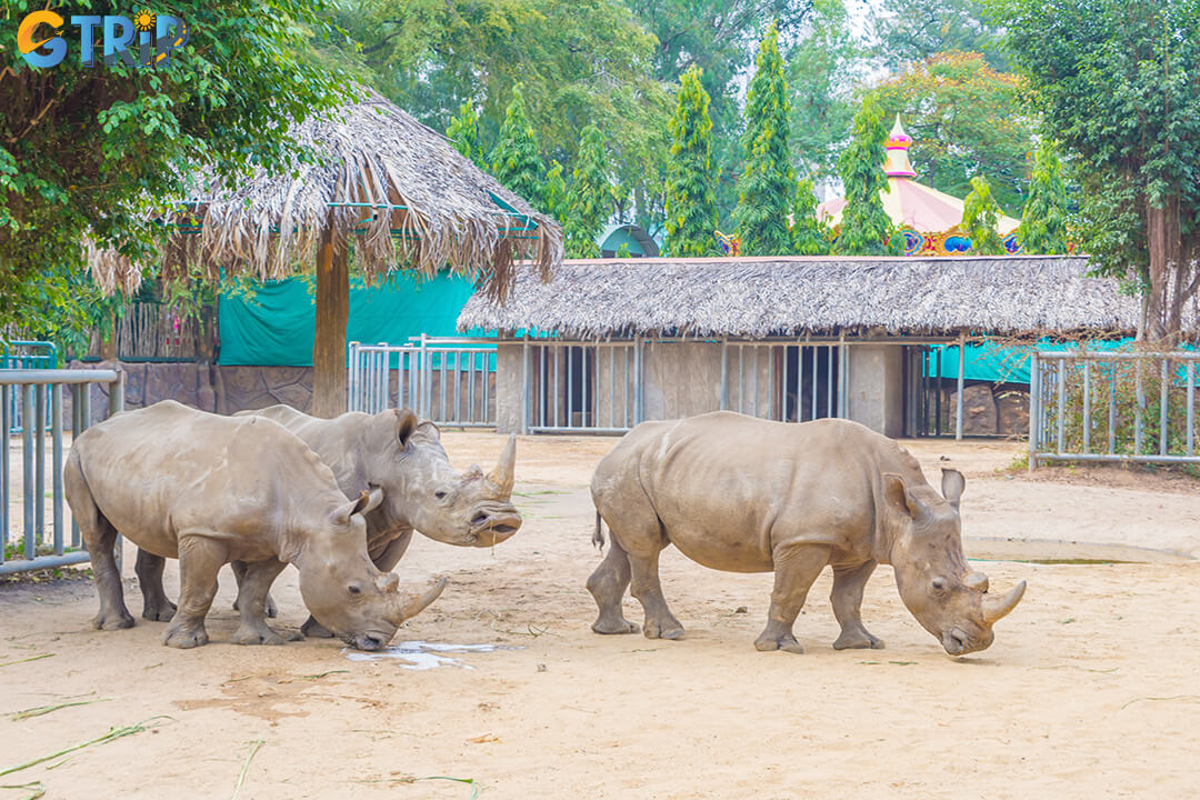 Saigon Zoo and Botanical Garden is a peaceful green escape in the city center, where visitors can enjoy diverse wildlife and relaxing garden landscapes