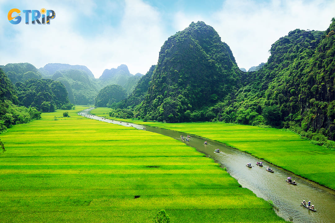 Serene waterways and towering limestone peaks with rice fields in Tam Coc
