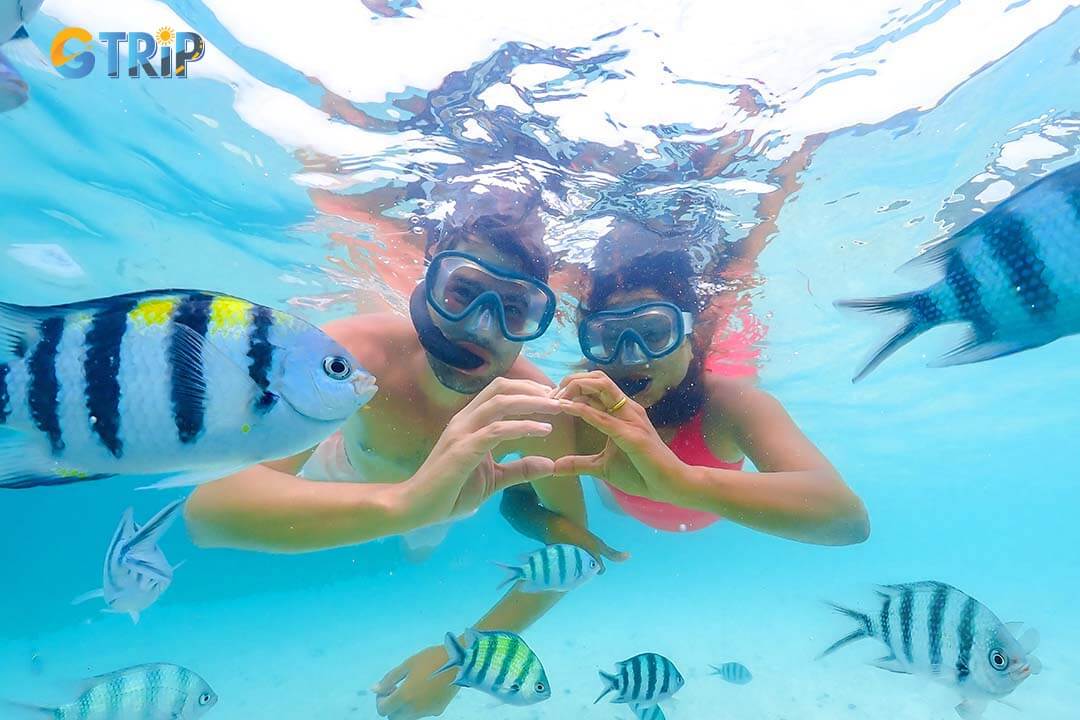 Snorkeling and diving in Ha Long Bay reveal vibrant coral reefs, diverse marine life, and pristine underwater landscapes