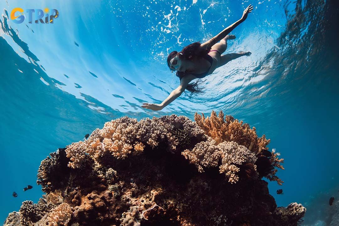 Snorkeling at Co To's vibrant coral reefs is a must for those who love to delve beneath the surface