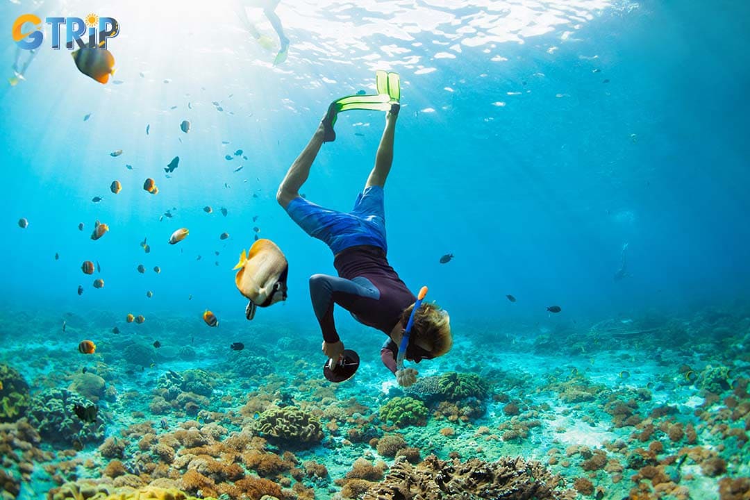 Snorkeling in Hoi An is one of the most amazing water sports you can try