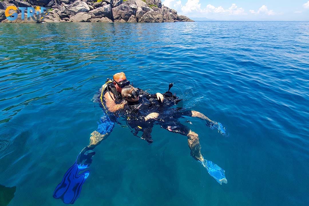 Son Tra Peninsula has healthy coral reefs with diverse marine life for visitors to scuba dive