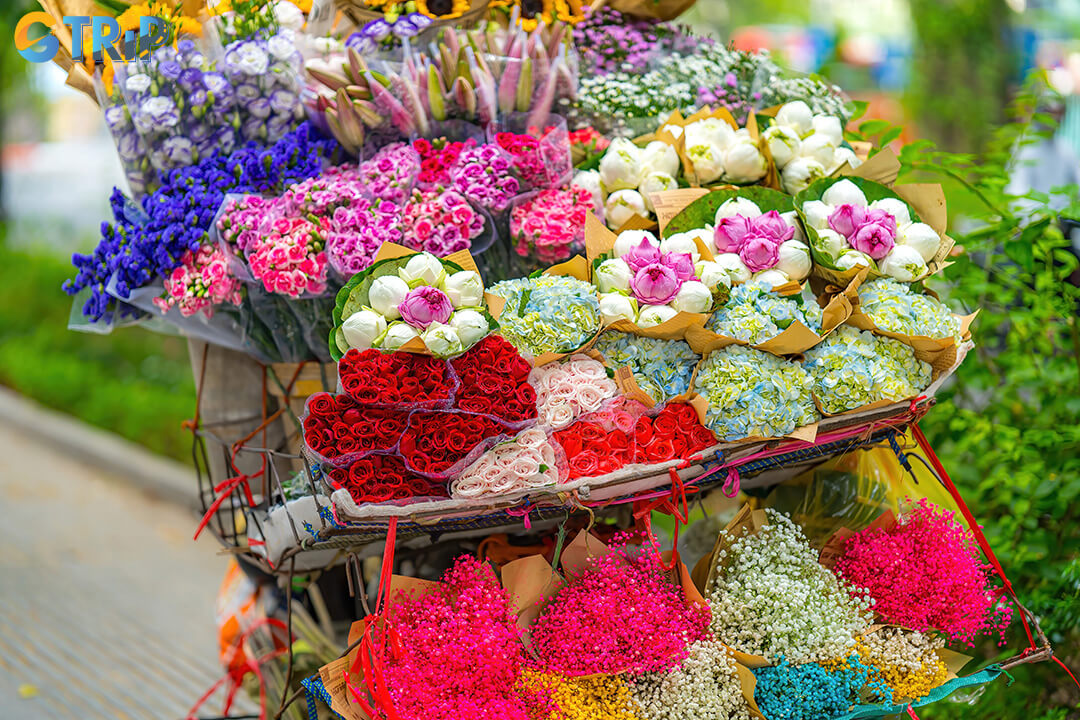 Spring and autumn are the best times to visit Hanoi, offering mild temperatures, low rainfall, and ideal conditions for walking tours, street food adventures