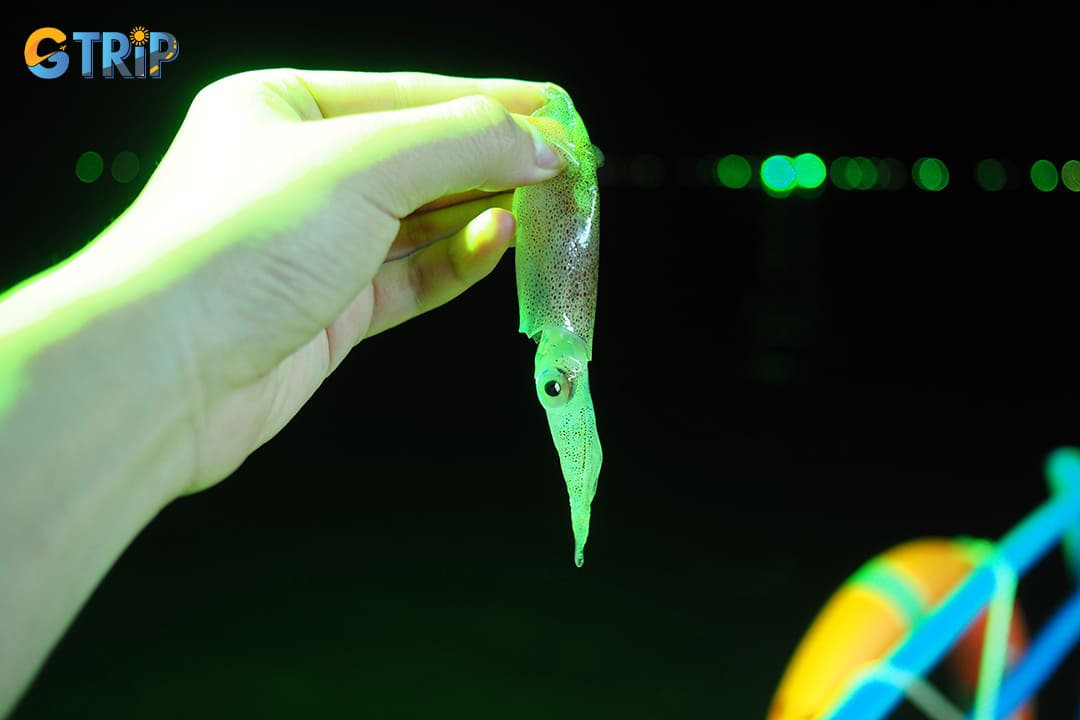 Squid fishing in Vung Vieng Fishing Village is a unique evening activity