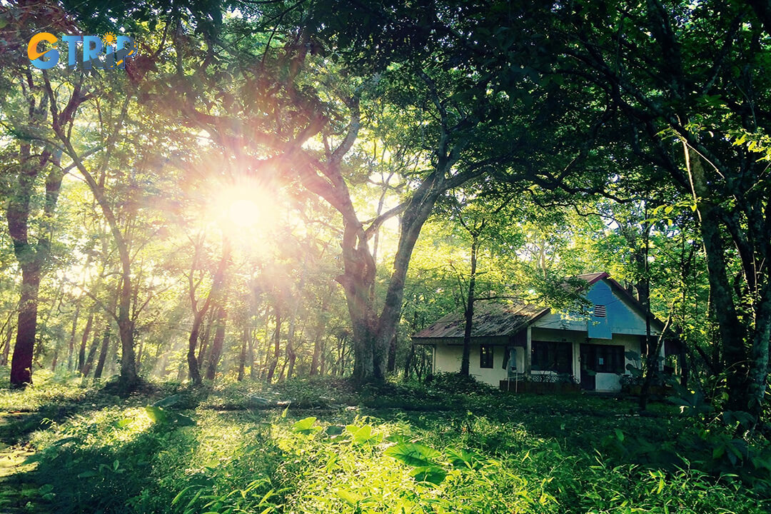 The bungalo in Cuc Phuong Resort