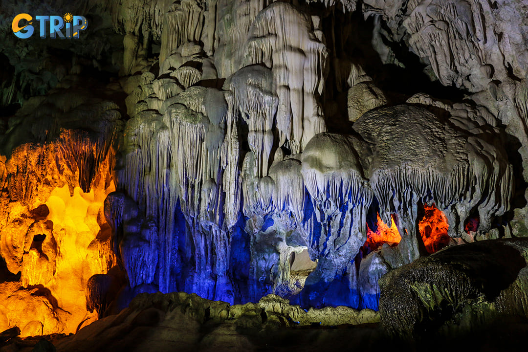 Stunning limestone walls adorned with shimmering stalactites in Hanh Cave