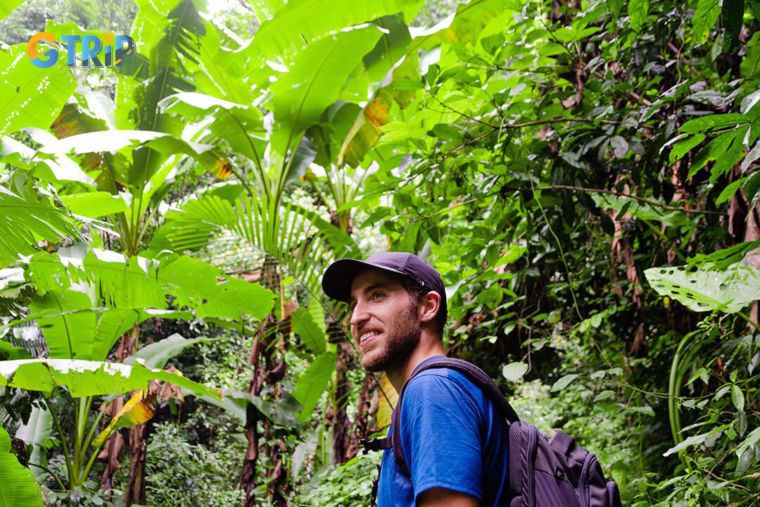 Conservation efforts and research of Cuc Phuong National Park