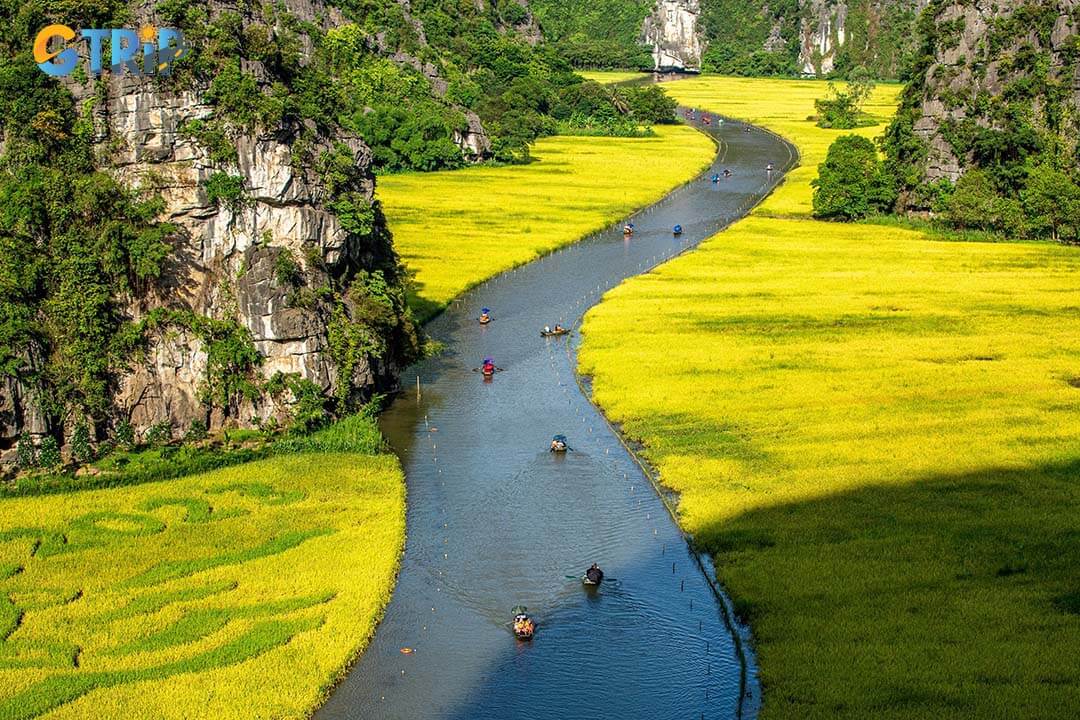 Taking a boat tour in Tam Coc, you will be able to observe a lot of wildlife in the limestone mountains