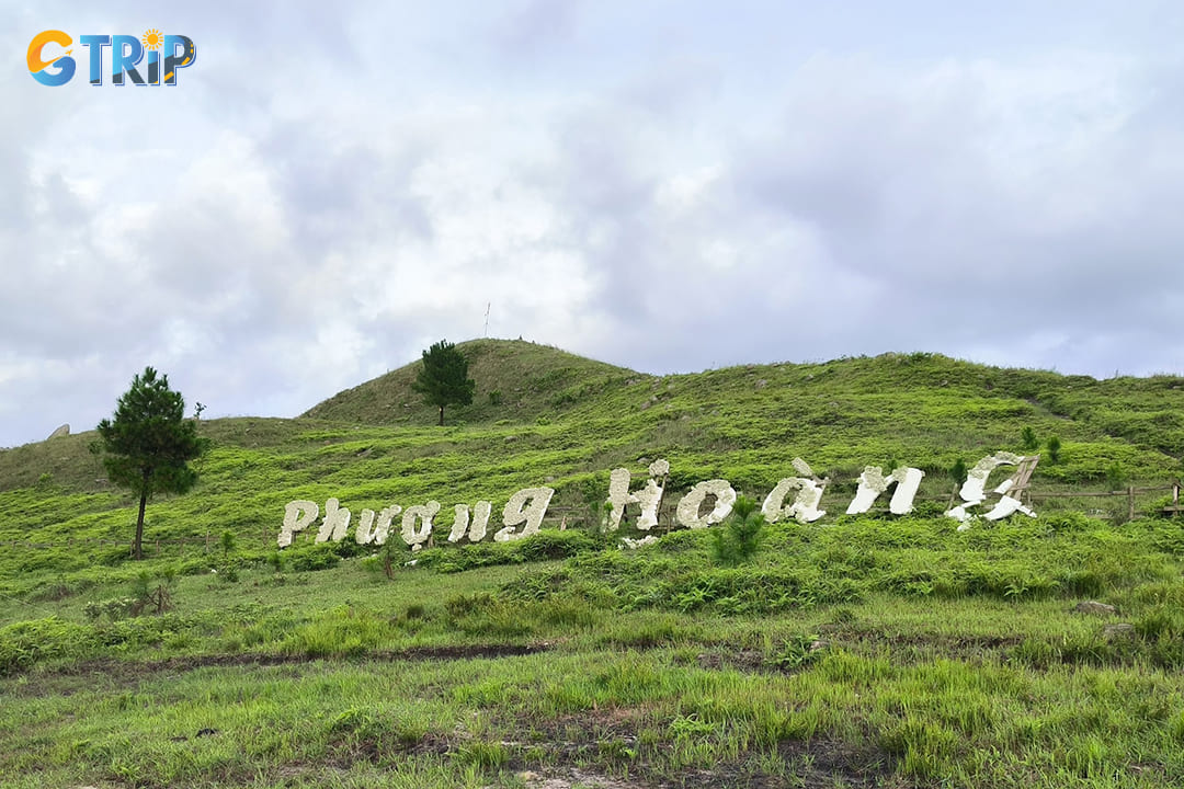 Taking a bus to Phuong Hoang Peak is an economical and convenient option