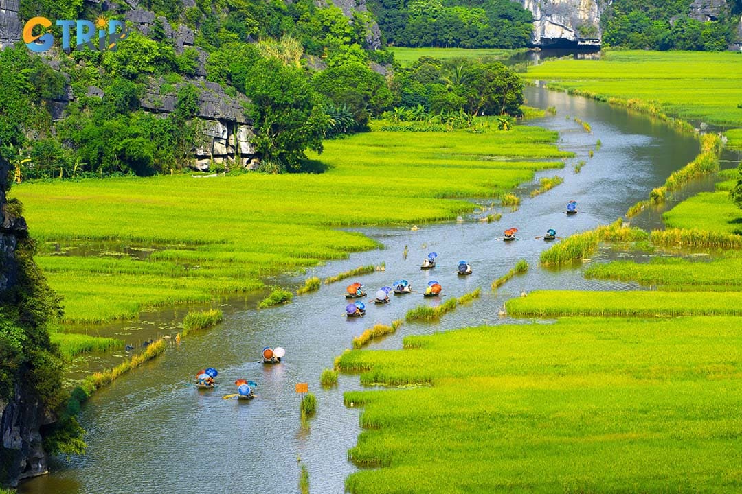 Tam Coc, where the karst formations reflect in the river, creating a serene atmosphere perfect for photography and relaxation