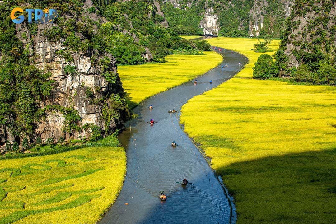 Tam Coc rice fields are a highlight of Ninh Binh