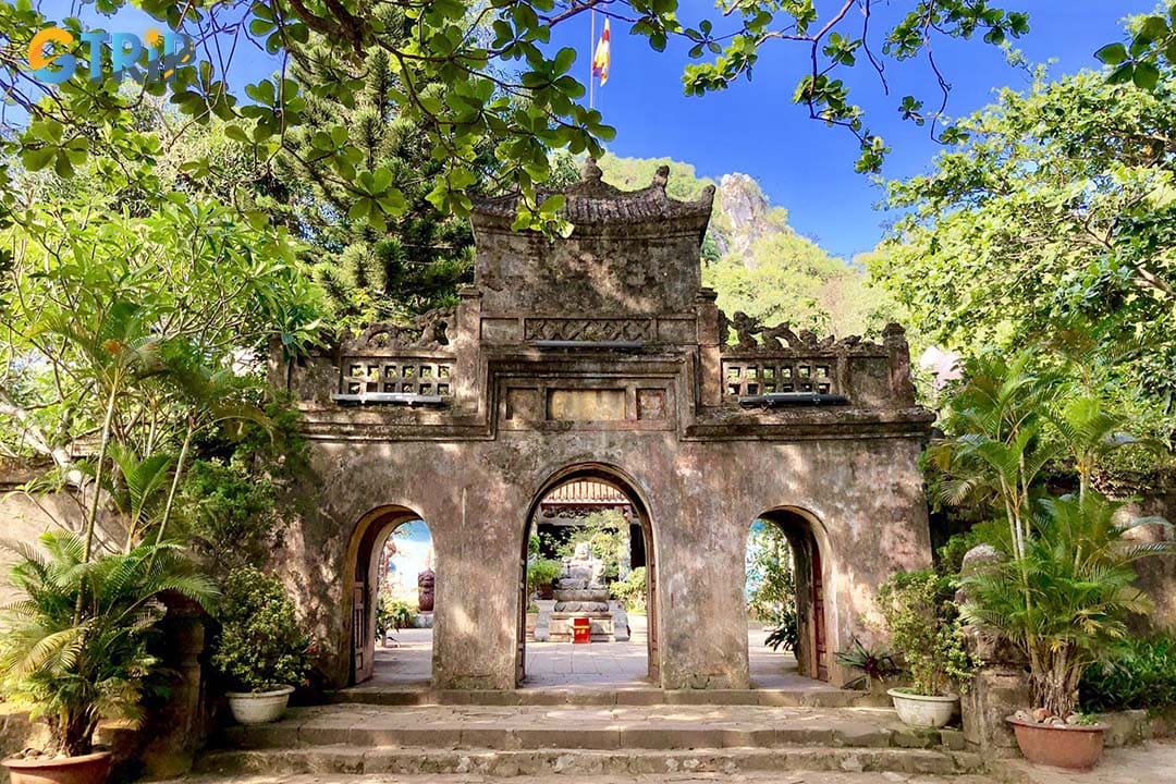 Tam Thai Pagoda features traditional Vietnamese Buddhist architecture, with a three-entrance gate, serene Buddha statues, and curved dragon-adorned roofs