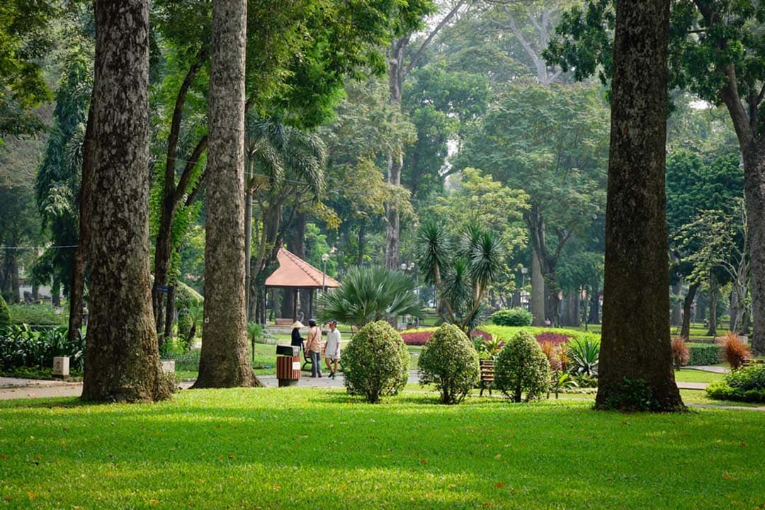 Tao Dan Park: Location, Highlights & Top Things to Do