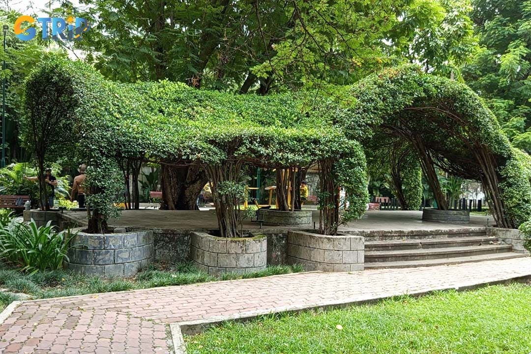 Tao Dan Park is a top Saigon picnic spot, offering serene lawns and shady banyan trees where you can enjoy a peaceful meal