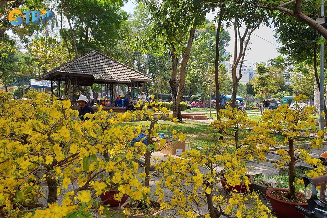 Tet Flower Festival at September 23rd Park fills with many colors of flowers