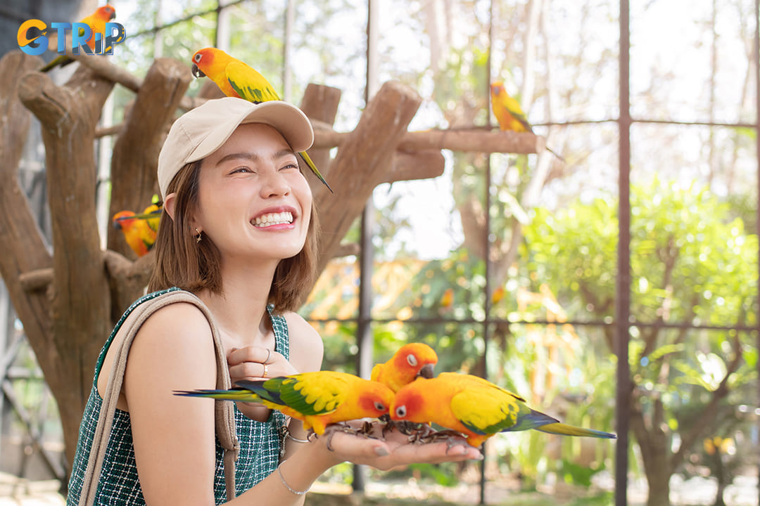 The animals are most active in the cooler parts of the day, so plan your visit for the early morning or late afternoon