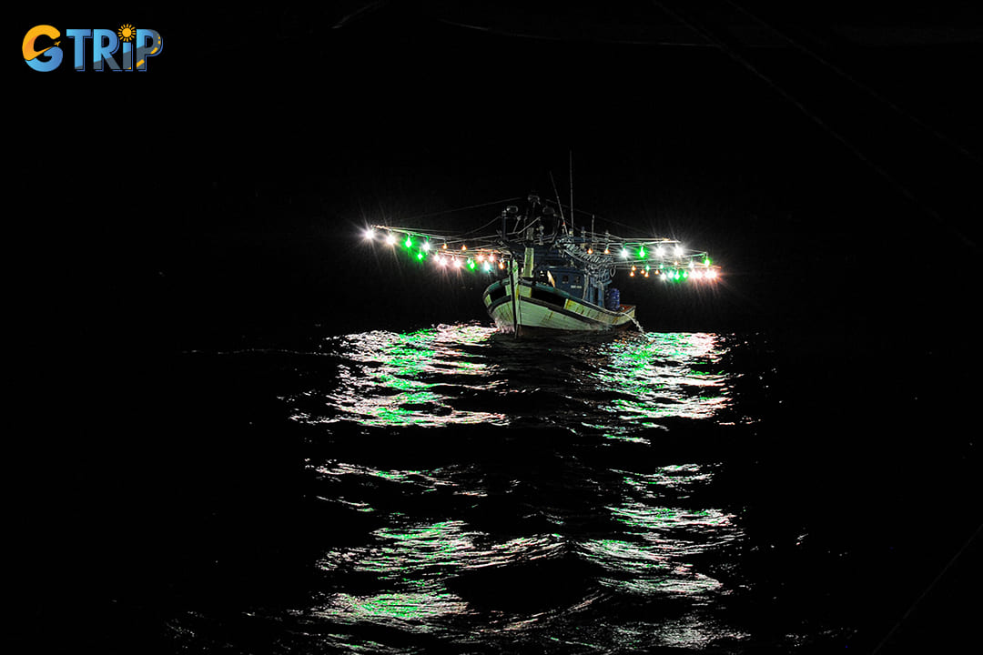 The best time for squid fishing in Halong Bay is from April to January