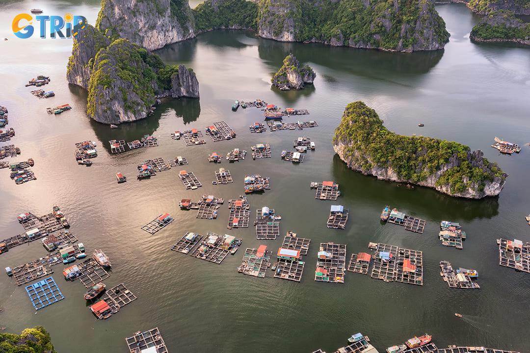 The best time to explore Ha Long Bay in summer is early morning or late afternoon to avoid the peak heat