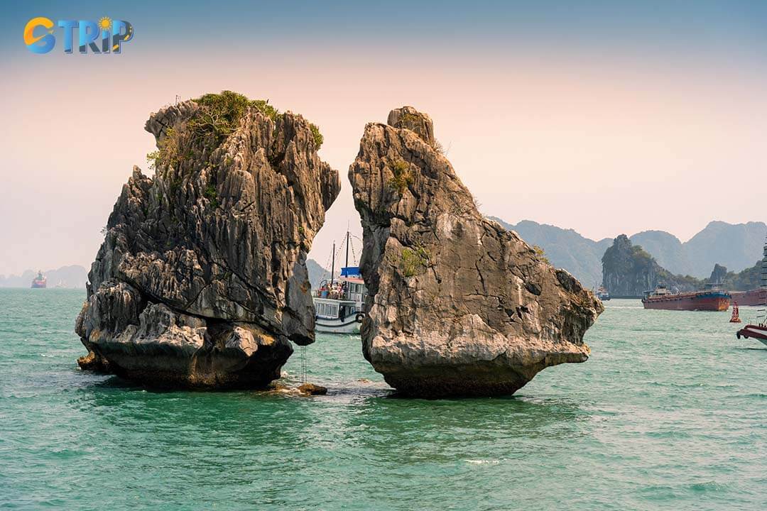 The best time to visit Fighting Cock Islets is from October to April