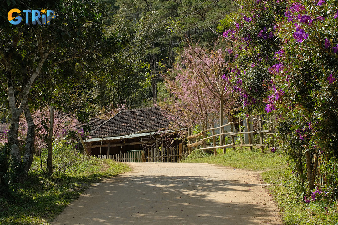 The best time to visit is during the dry season, from December to April, when the weather is mild, sunny