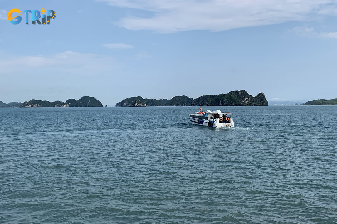 The best time to visit Ngoc Vung Island is from April to October