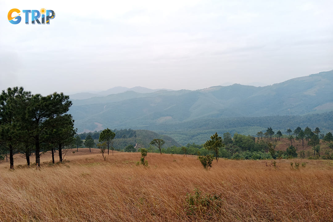 The best time to visit Phuong Hoang Peak is from October to April when the weather is most favorable for outdoor activities