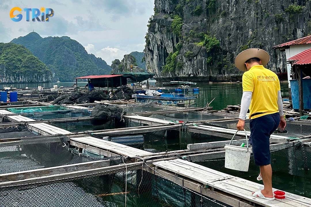 The best way to experience Cua Van is by connecting with the villagers to learn about their fishing, boat-building, and sustainable practices