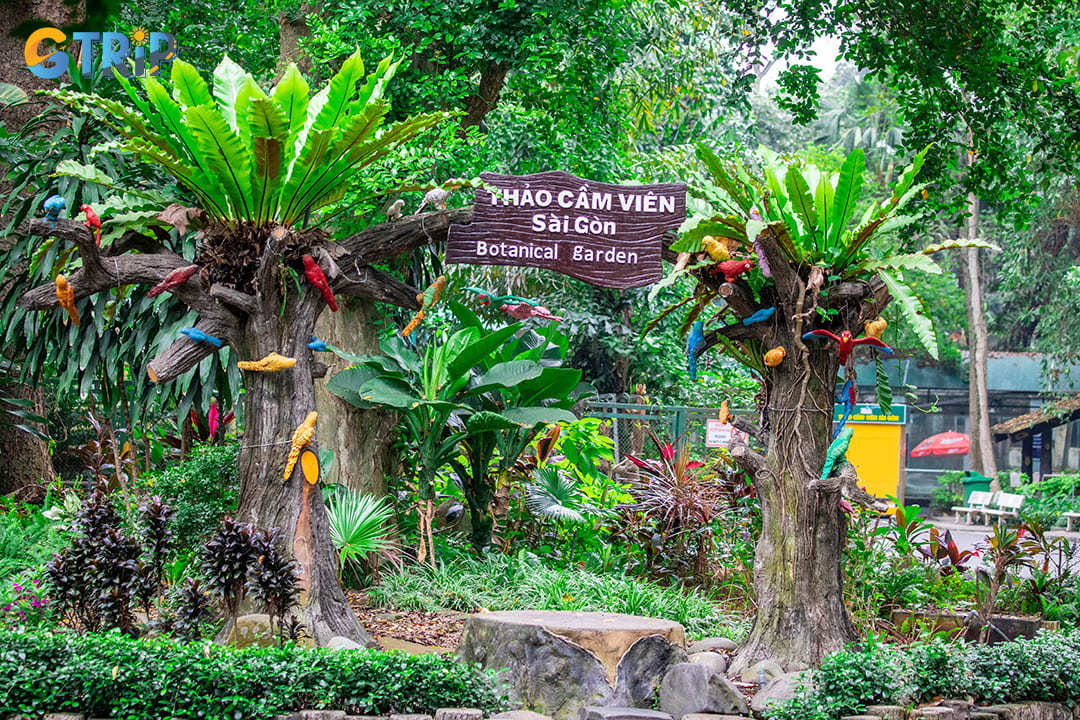 The botanical garden area is a great place to relax and enjoy the lush greenery