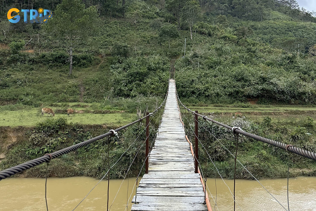 The bridge offers tourists a scenic crossing over a small stream or valley, surrounded by the village’s lush pine forests and mountainous terrain