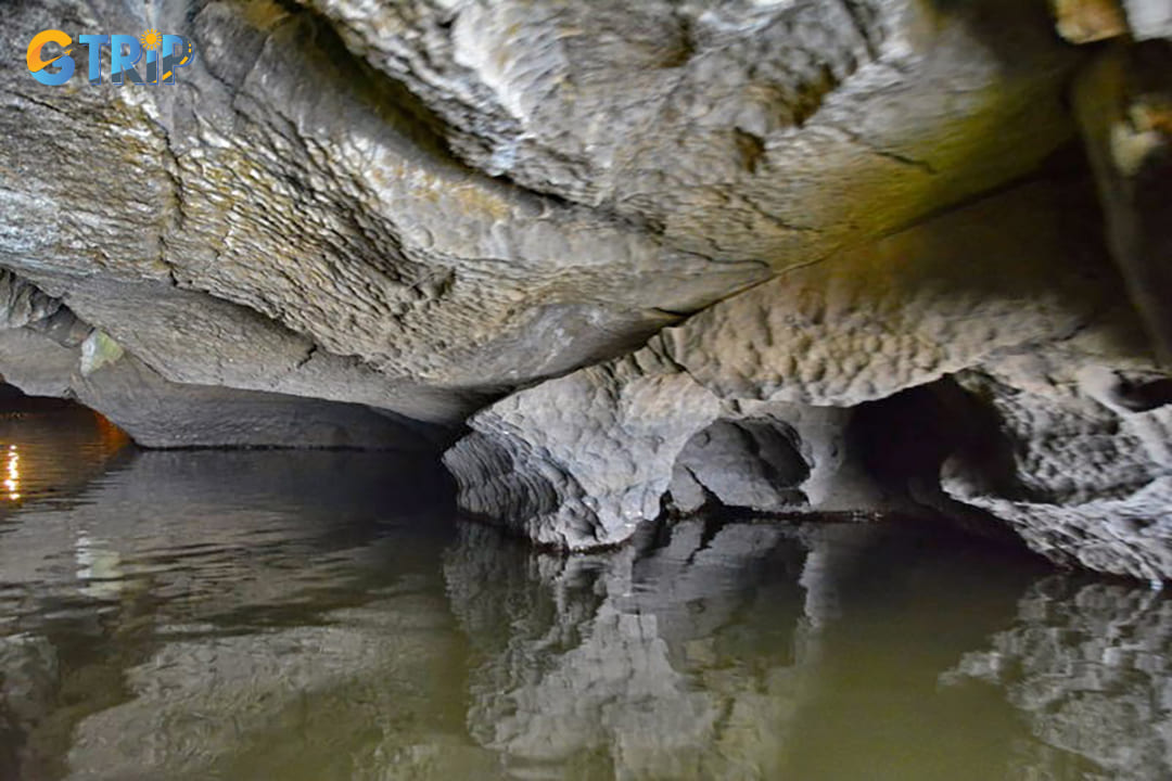 Biodiversity exists in the cave