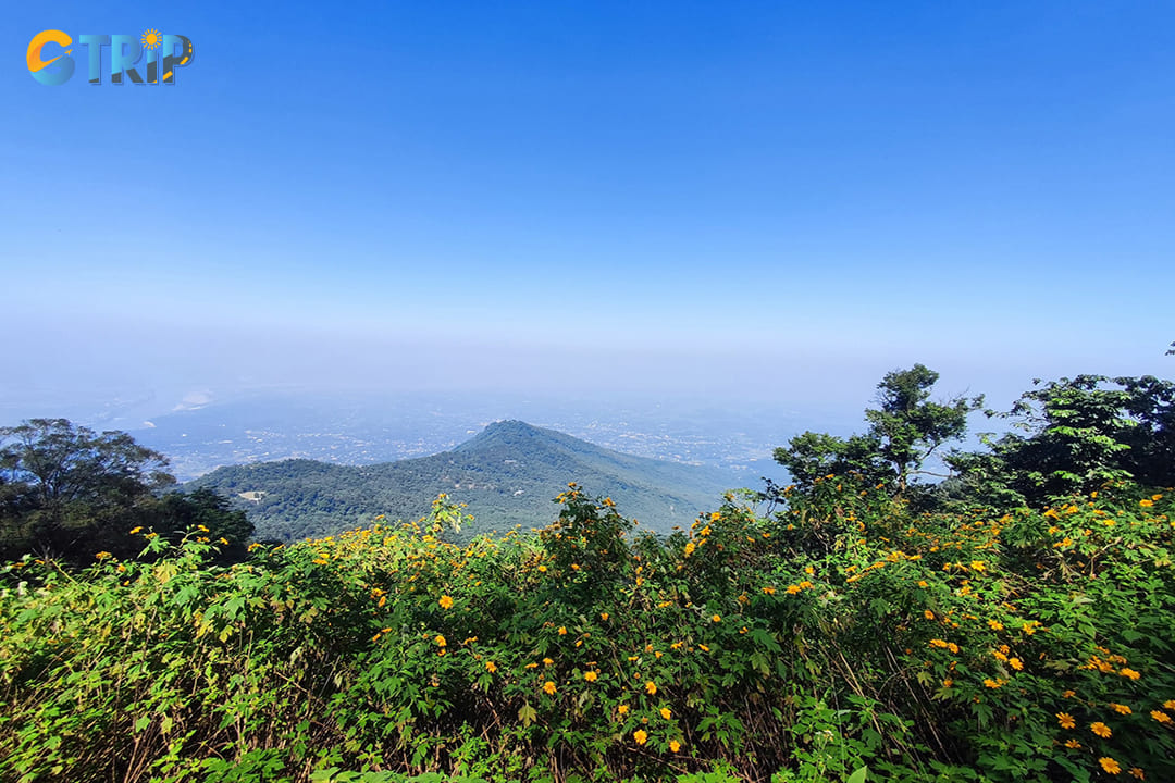 Each summit of Ba Vi offers a unique trekking experience with varying difficulty levels