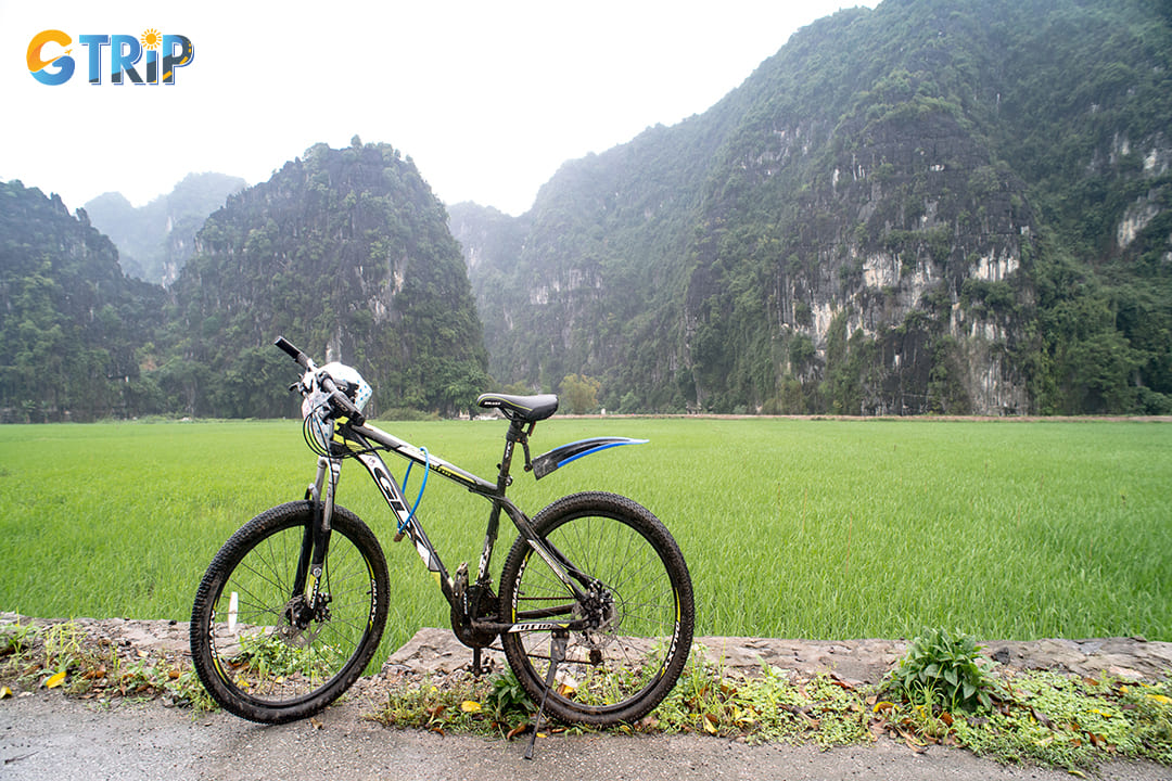 The cycling route from Tam Coc to Thung Nham Bird Park is perfect for nature lovers