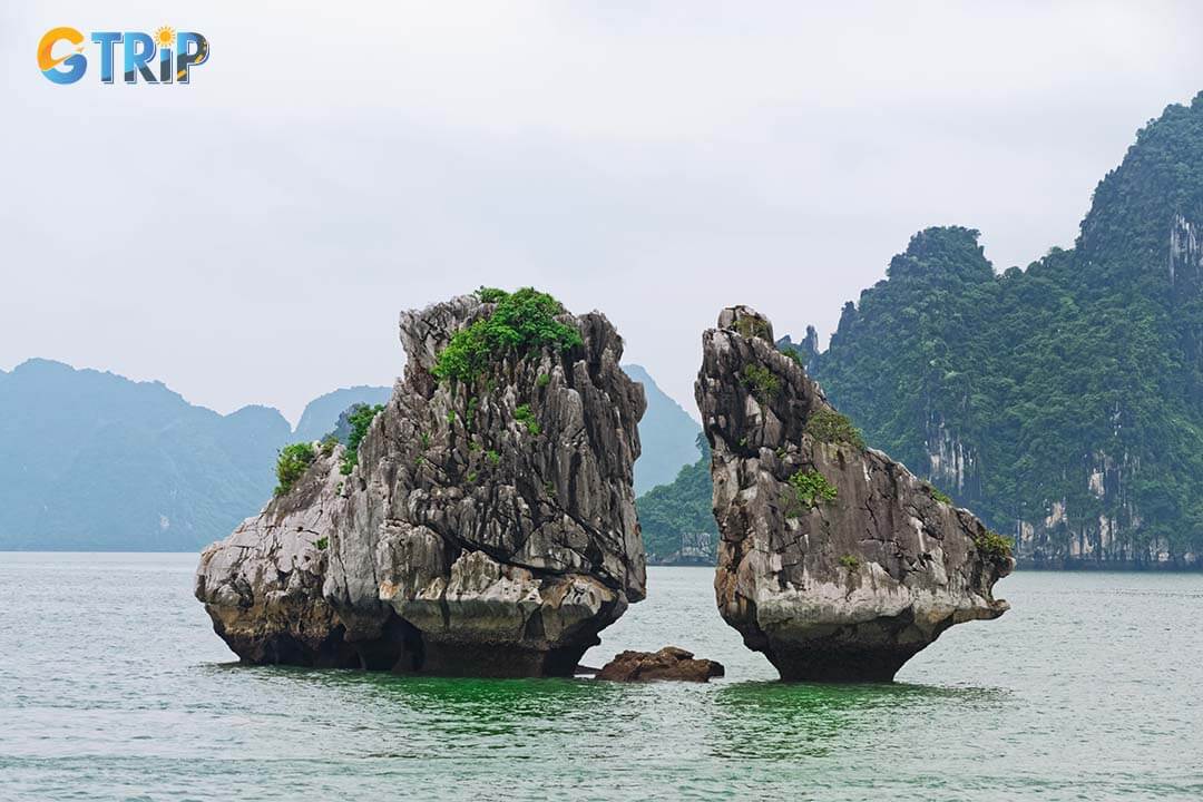 The Fighting Cock Islets unique rock formations, and a peaceful atmosphere, making it a perfect spot for sightseeing, photography