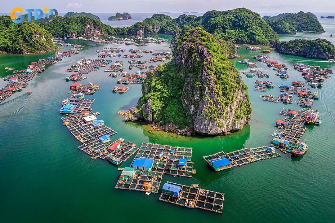 The fishing villages on Dau Be Island offer visitors a unique opportunity to interact with local people and learn about their traditional fishing methods