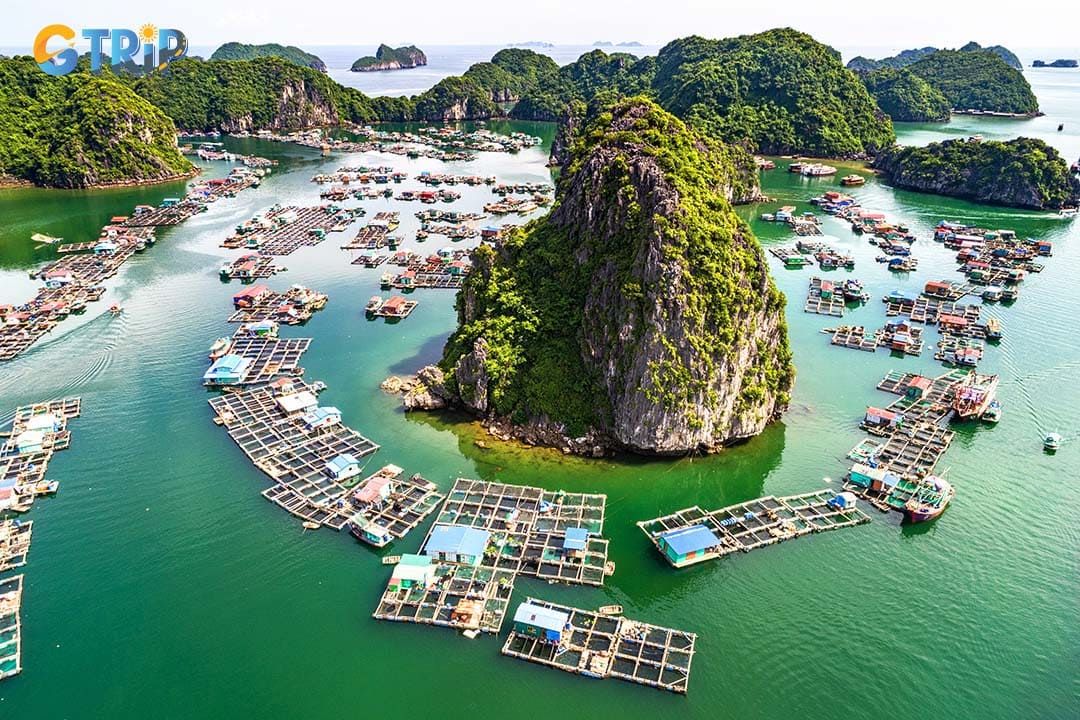 The floating homes of Cua Van, built on bamboo platforms, rise and fall with the tides, reflecting the villagers' connection to the water and sustainable living