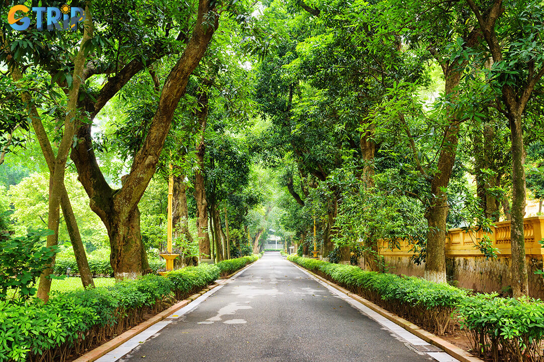 The garden is a lush sanctuary showcasing diverse tropical flora and wildlife, making it a paradise for nature lovers and bird watchers